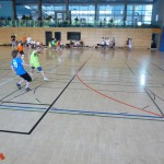 SC 2014 (172)