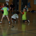 SC 2014 (212)