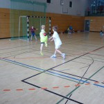 SC 2014 (228)