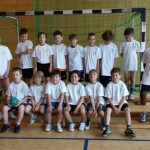 SC 2014 (294)